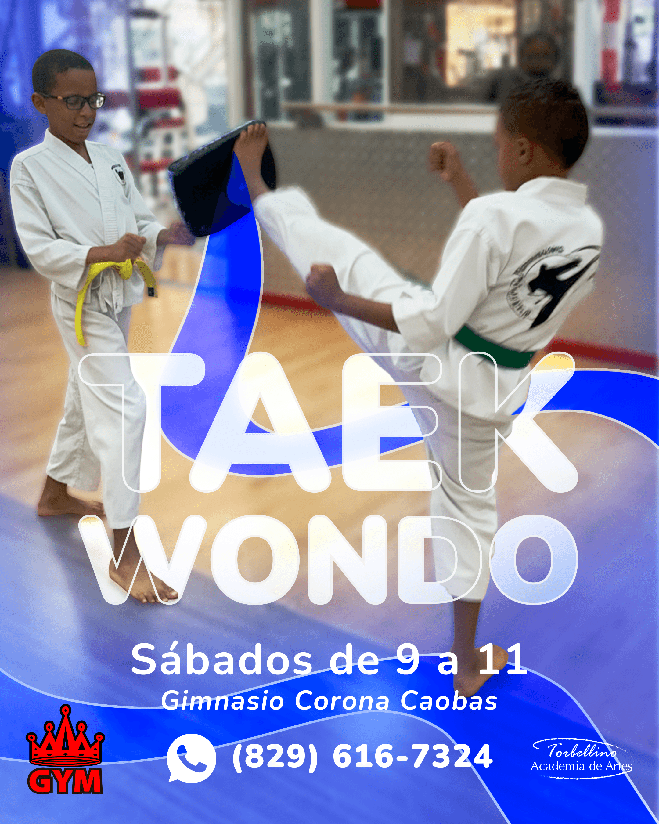 Torbellino Escuela contenido