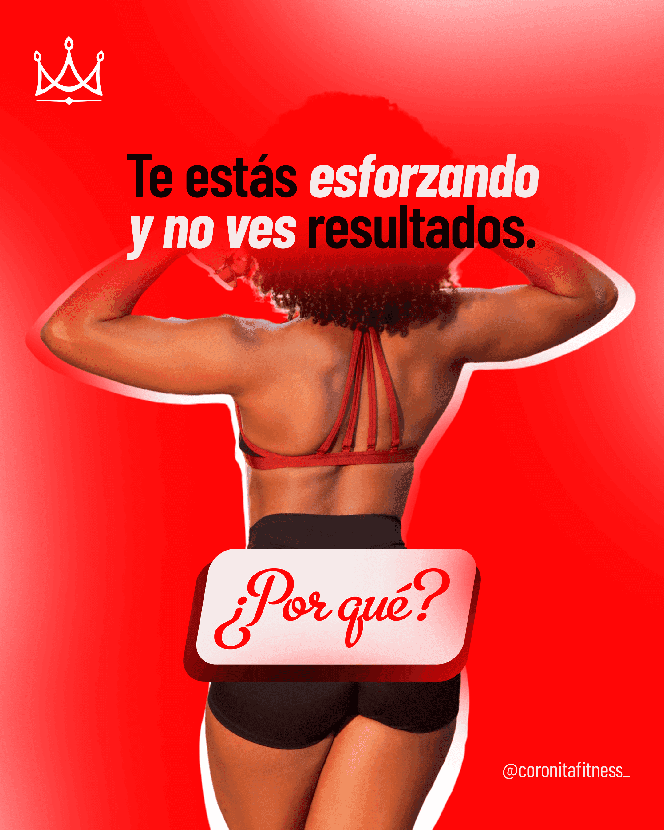 Coronita carrusel 1