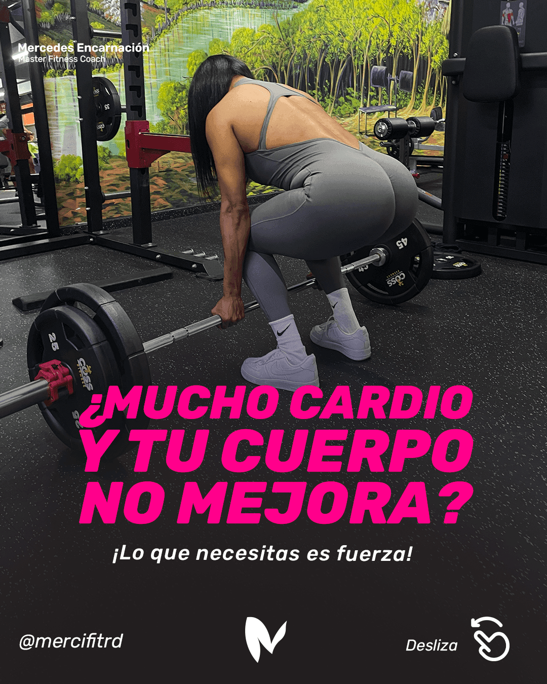 Mercifit carrusel 1